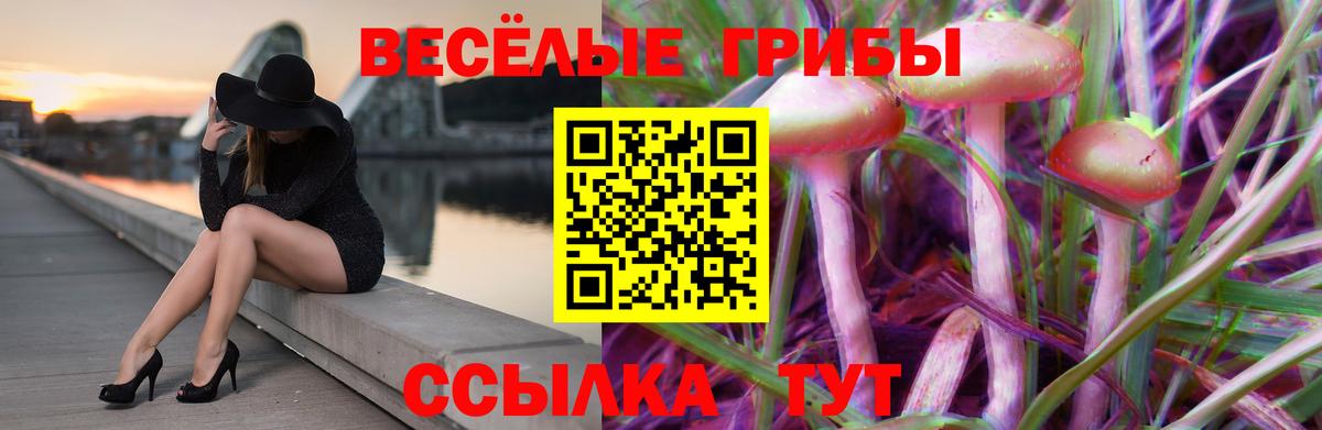 Псилоцибиновые грибы мухоморы  Вход с VPN  даркнет сайт  Галлюциногенные грибы Magic Shrooms  Ялта 